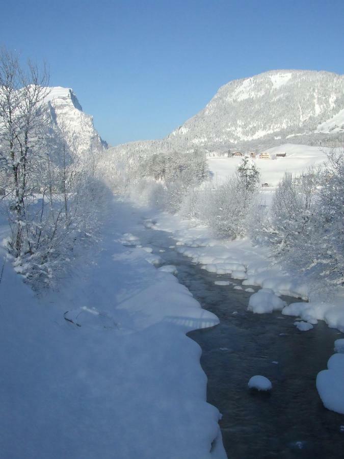 Ruef Wohlfuehl-Apartments Au (Vorarlberg) Kültér fotó