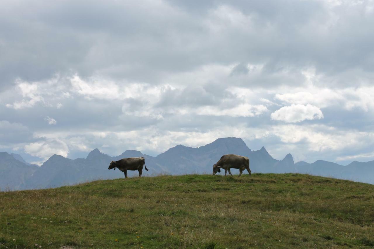 Ruef Wohlfuehl-Apartments Au (Vorarlberg) Kültér fotó